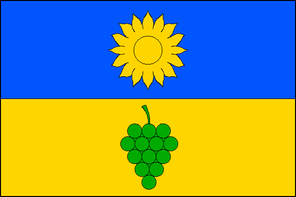 city flag