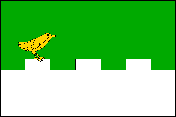 city flag