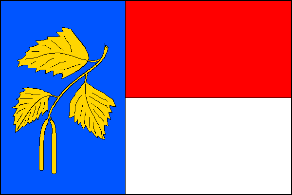 city flag