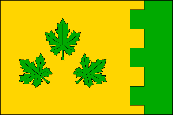 city flag