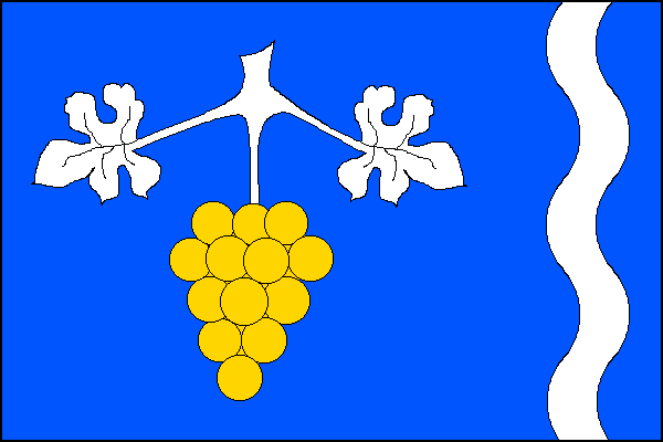 city flag