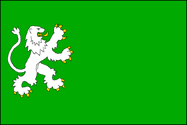 city flag