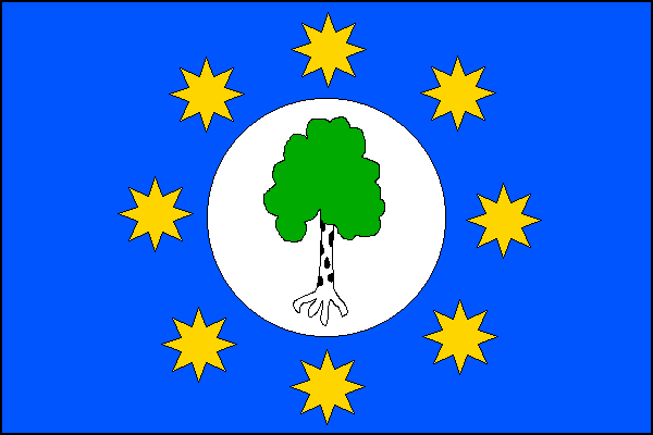 city flag