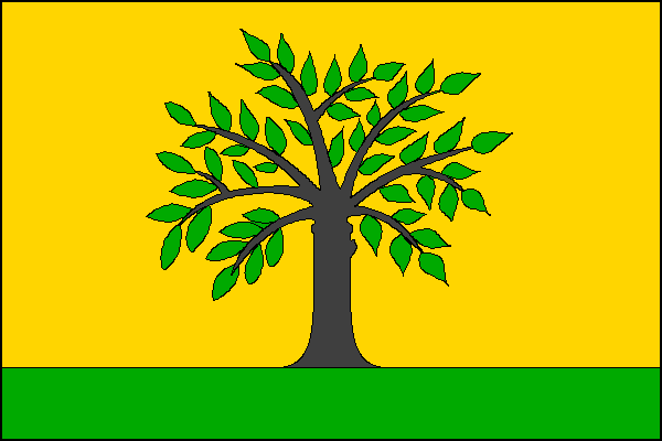 city flag