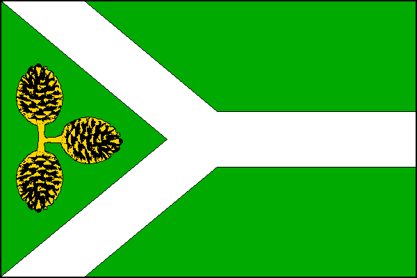 city flag