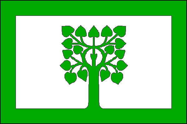 city flag