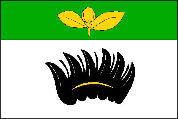 city flag