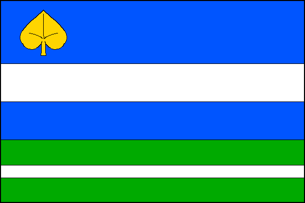 city flag