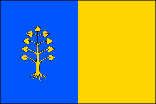 city flag