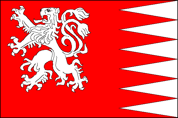 city flag