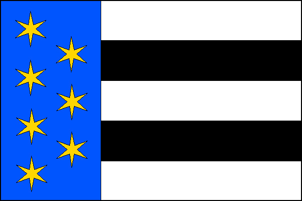 city flag