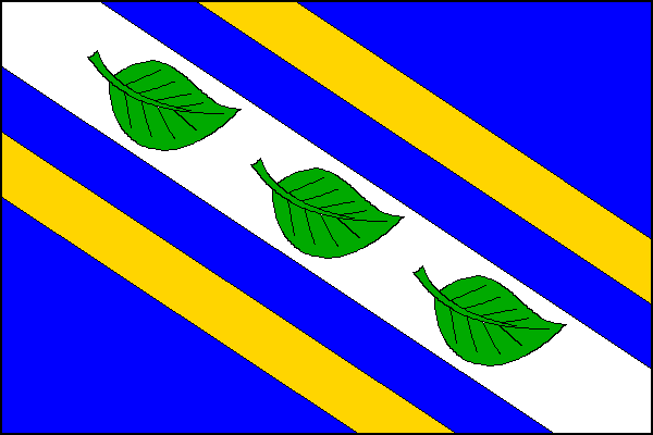 city flag