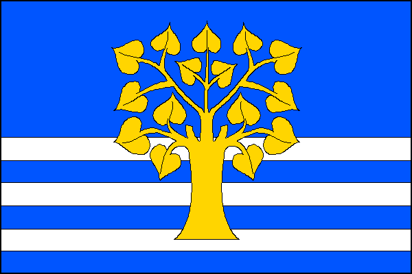 city flag