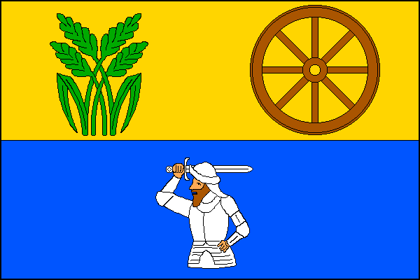 city flag