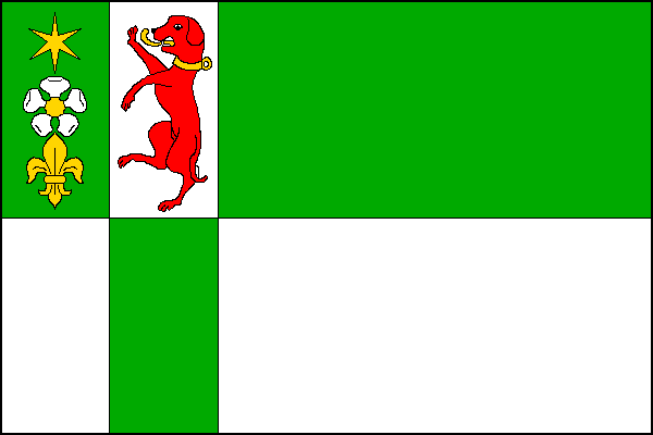 city flag