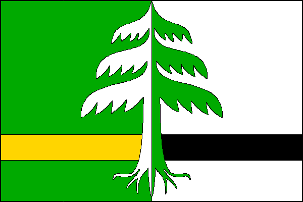 city flag