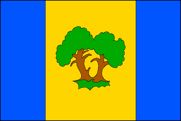 city flag