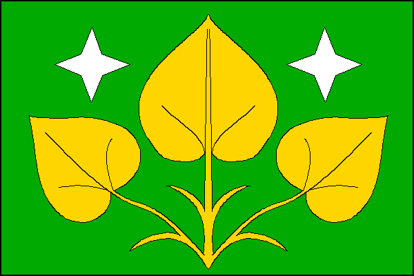 city flag