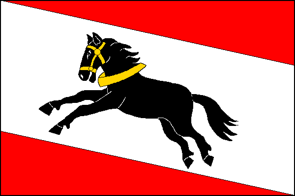 city flag