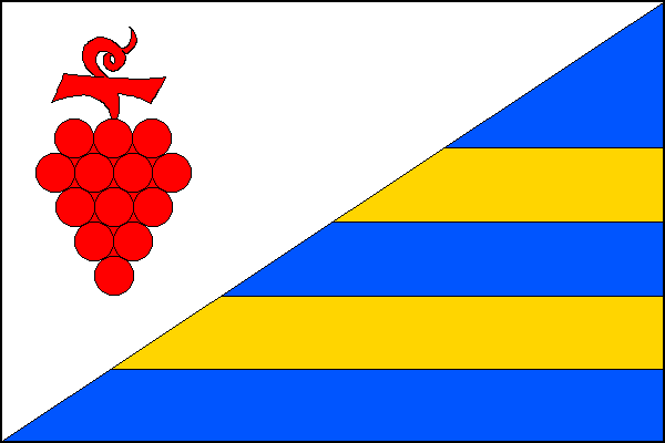 city flag