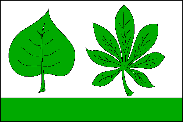 city flag