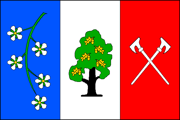 city flag