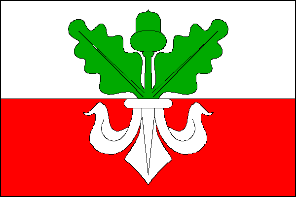 city flag