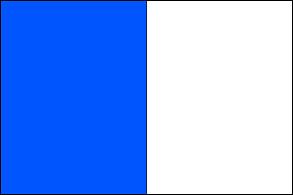 city flag