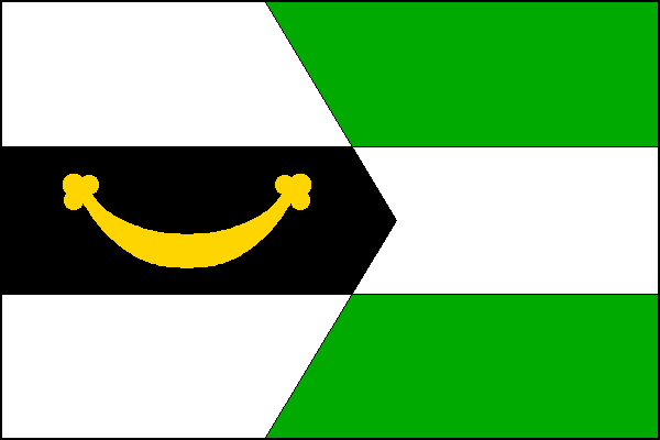 city flag