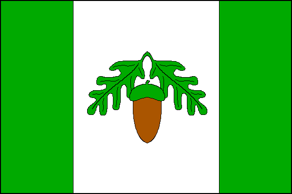 city flag