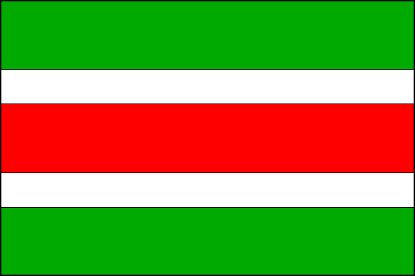 city flag