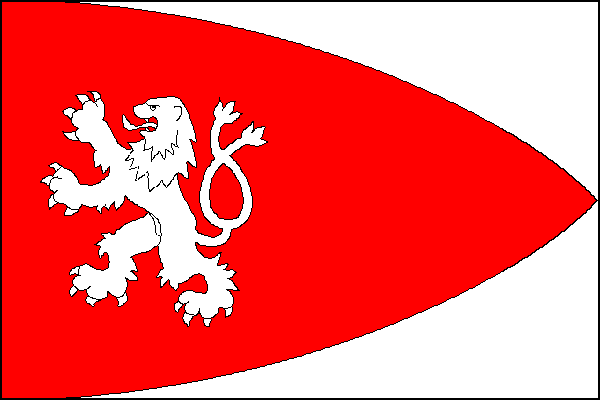 city flag