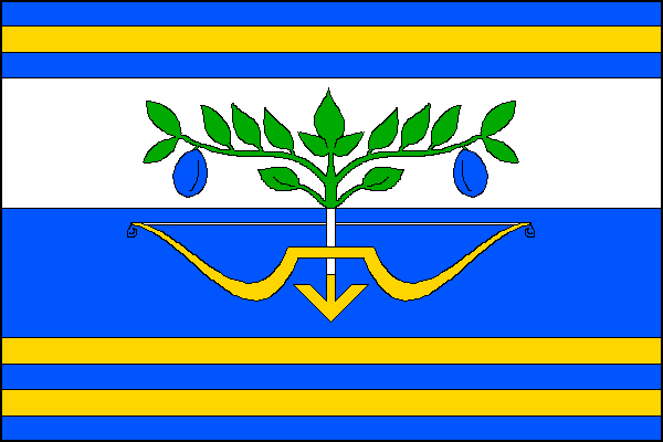 city flag