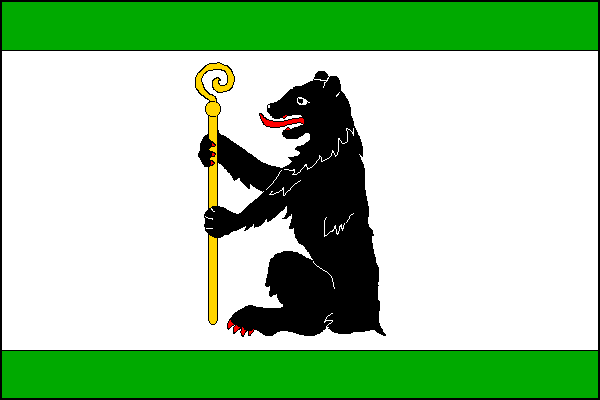 city flag