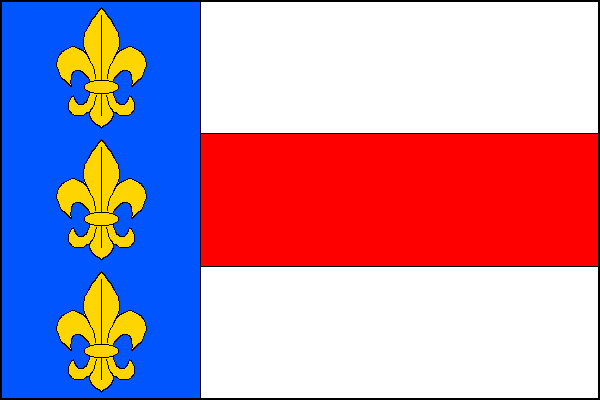 city flag