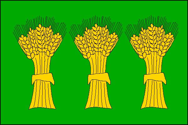 city flag