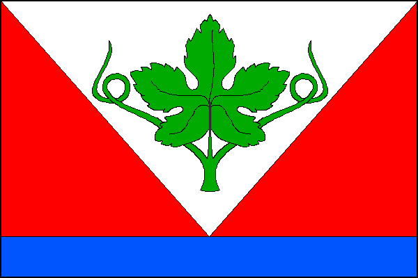 city flag