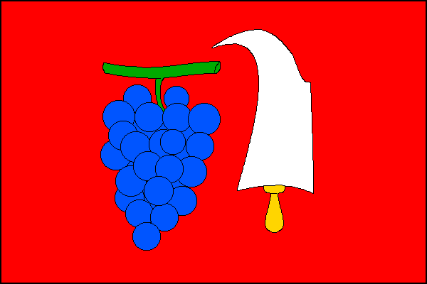 city flag