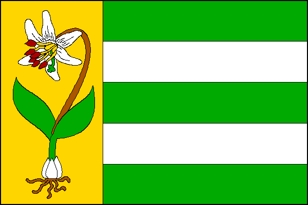 city flag