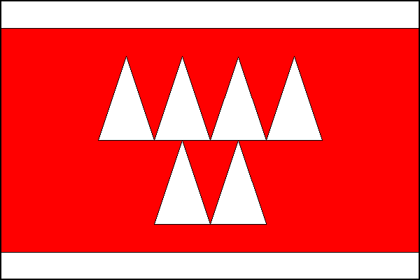 city flag