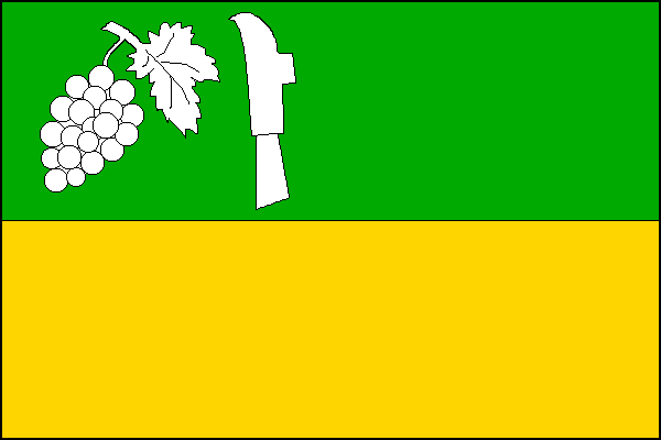 city flag