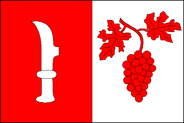 city flag