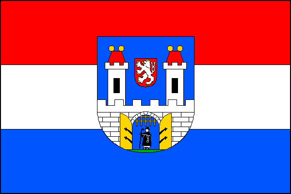 city flag