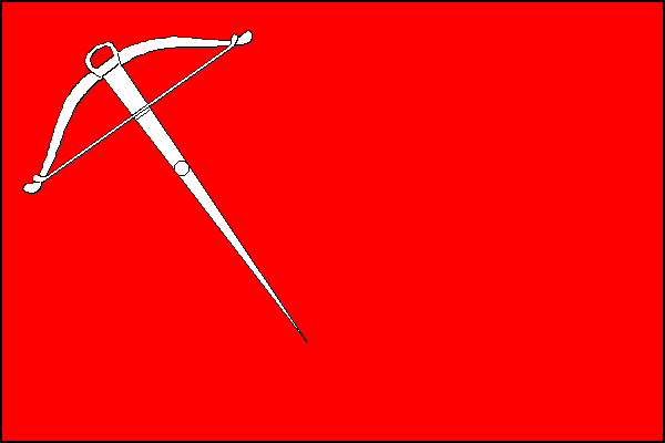 city flag