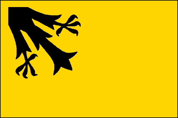 city flag