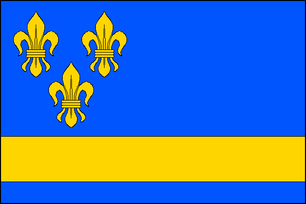 city flag