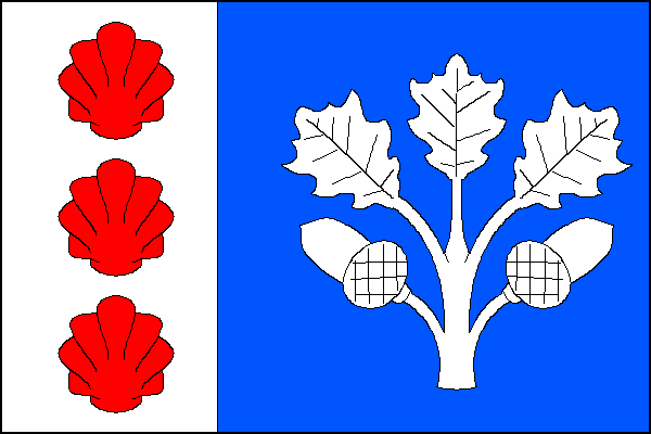 city flag