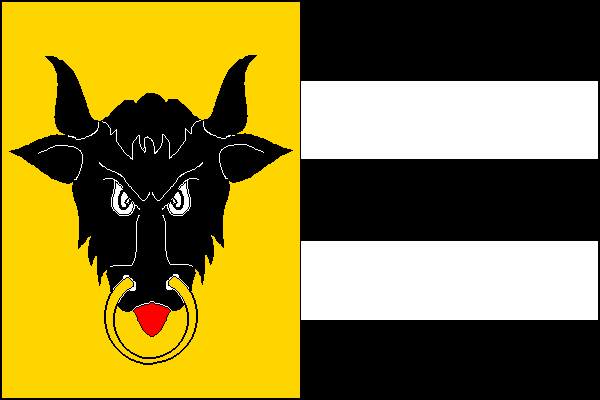 city flag