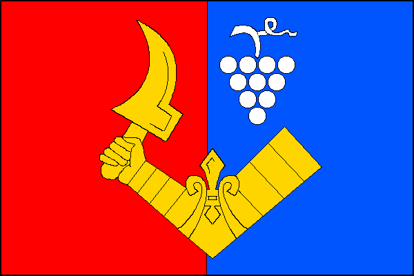 city flag