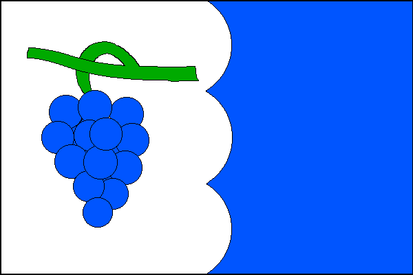 city flag